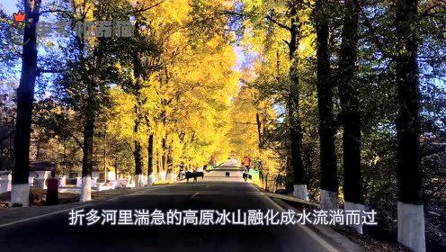 娱乐吃瓜君的原创,吃瓜君带你领略幕后风云 第1张 娱乐吃瓜君的原创,吃瓜君带你领略幕后风云 第1张